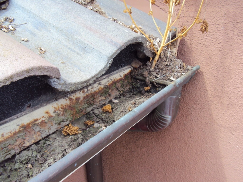 Gutter Maintenance Gutter Maintenance